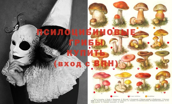 spice Семёнов