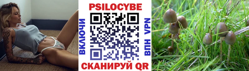 Галлюциногенные грибы прущие грибы  Купить  Усть-Катав 